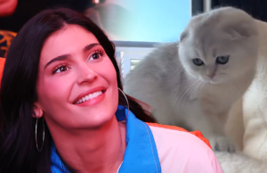 Kylie Jenner teilt Sport-BH-Selfie und Fotos der neuen Katze im Instagram-Drop