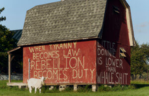 Denken Sie, Sie kennen das rote Amerika? Denken Sie noch einmal darüber nach