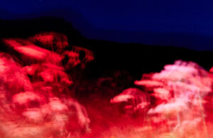 In einem Rückzugsort in den Schweizer Bergen, wo Künstler Ruhe und Schöpfung neu denken