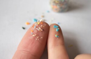 Möchten Sie Mikroplastik in Lebensmitteln vermeiden? Wir haben die 8 häufigsten Lebensmittel gefunden, die Mikroplastik enthalten