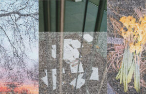 „Zehn Dinge zu sehen: Scarlet Griffiths‘ ‚Scratch‘ in der Allotment Gallery“